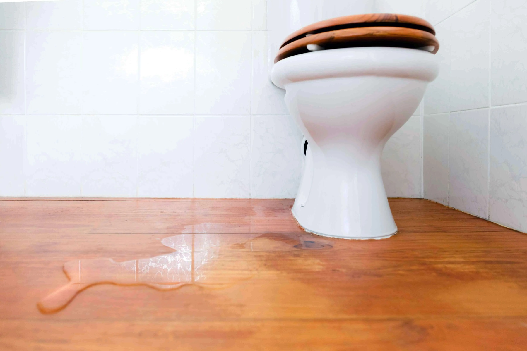 Leaking Toilets Central Coast